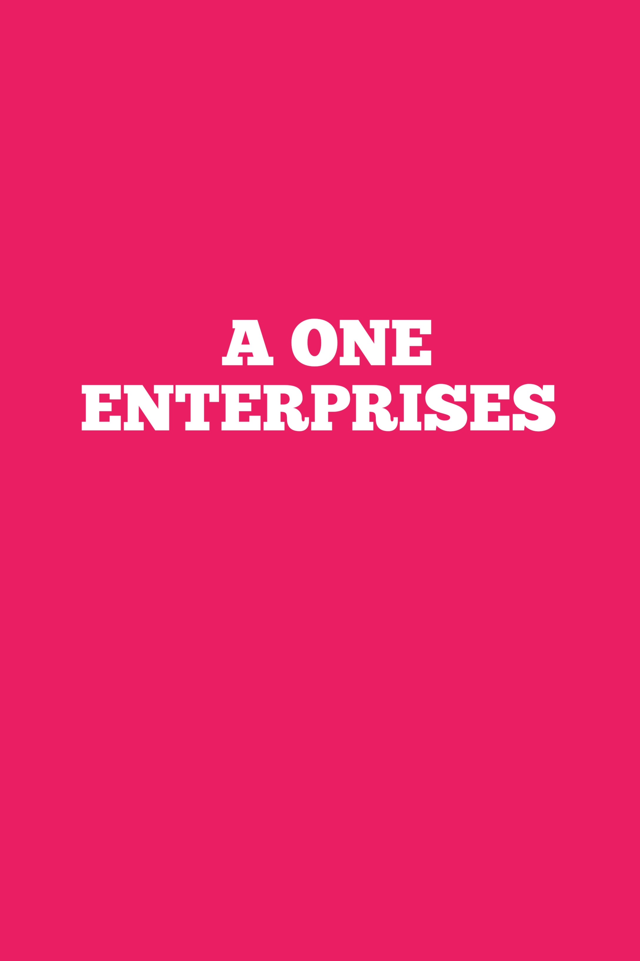 a one enterprises Banner